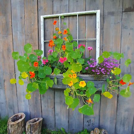 Spacious Country Retreat Close To Town And Nature, Sylvana Farm Vt Montpelier Exterior foto