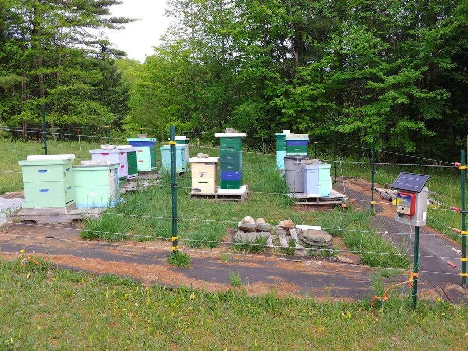 Spacious Country Retreat Close To Town And Nature, Sylvana Farm Vt Montpelier Exterior foto