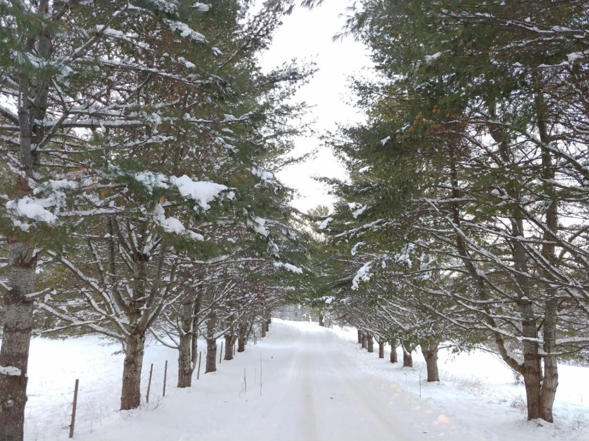 Spacious Country Retreat Close To Town And Nature, Sylvana Farm Vt Montpelier Exterior foto