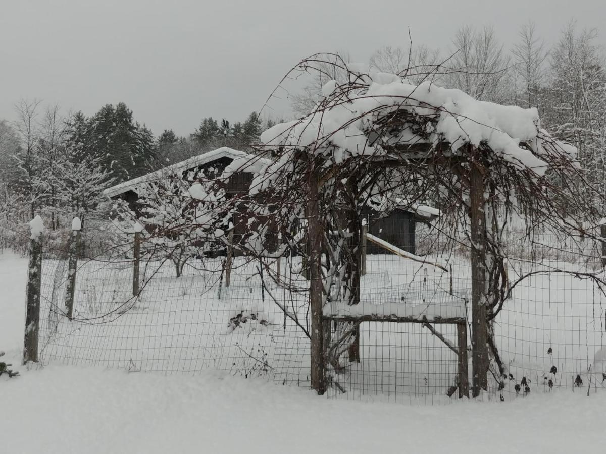 Spacious Country Retreat Close To Town And Nature, Sylvana Farm Vt Montpelier Exterior foto