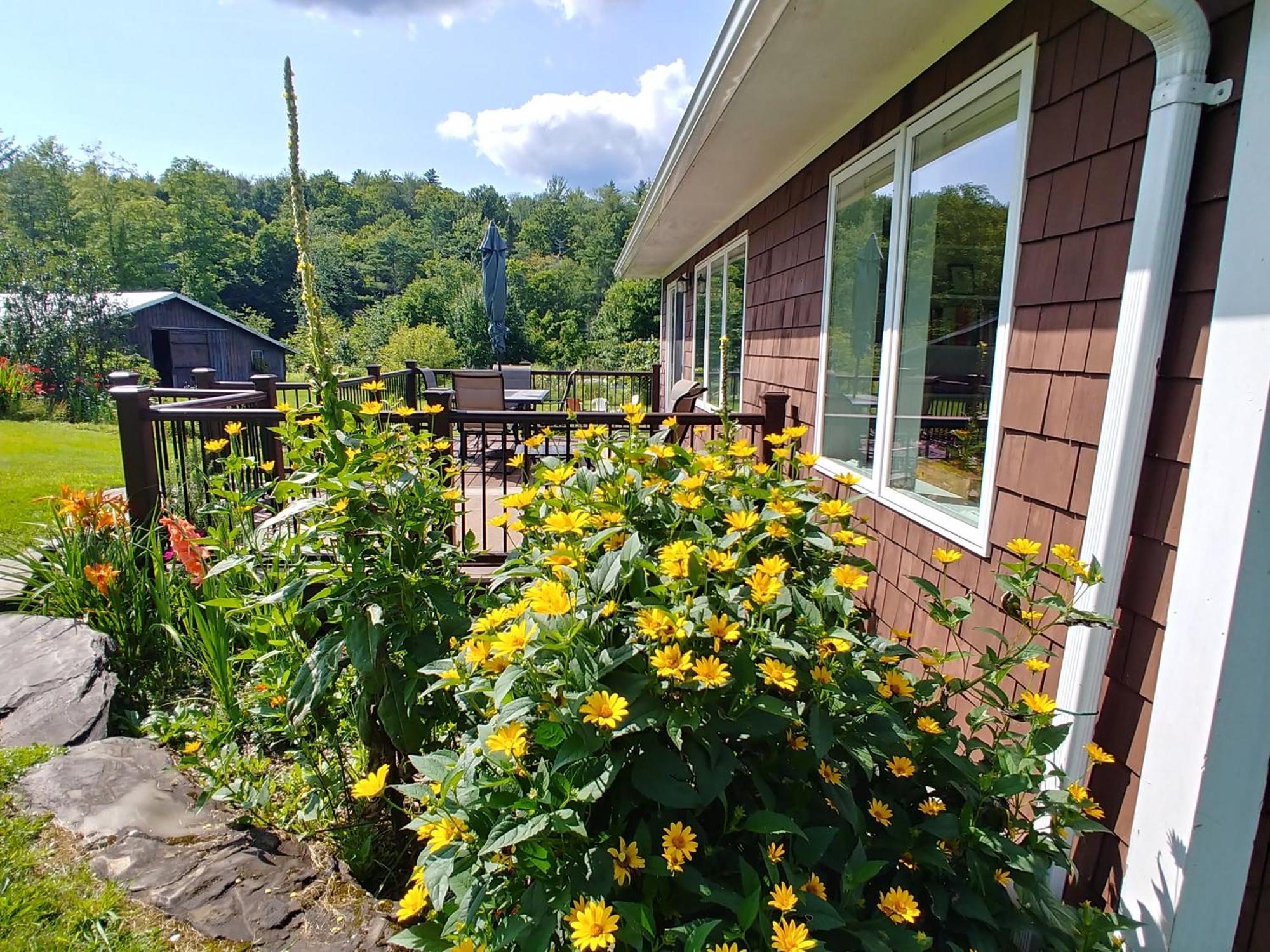 Spacious Country Retreat Close To Town And Nature, Sylvana Farm Vt Montpelier Exterior foto